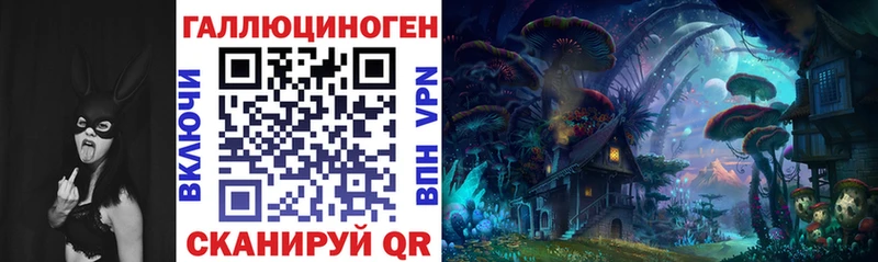 купить  сайты  Белебей  Псилоцибиновые грибы Psilocybe 